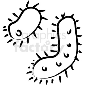 Black and white clipart image of two bacteria cells with spiky outlines.