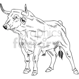 The clipart image shows a line drawing of a bull. The bull is depicted in a side stance, with prominent horns and a muscular build.