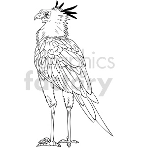 A black and white clipart image of a secretarybird, characterized by its long legs, detailed feathers, and crest of long quills on the back of its head.
