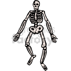 A cartoon-style clipart image of a human skeleton with a simple, hand-drawn appearance.