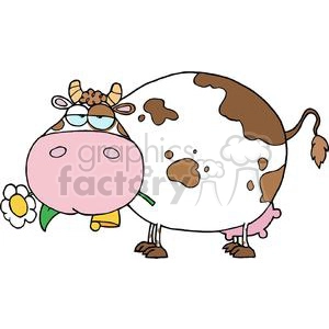This image shows a comical illustration of a cow. The cow is white with brown spots and has a large pink udder. It sports a funny facial expression with eyes, and it's chewing on a flower. The cow also appears to be slightly cross-eyed, adding to the humorous aspect of the clipart. 
