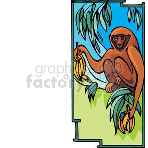 monkey in a banana tree
