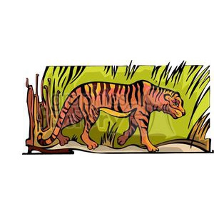 Clipart image of a tiger walking through grass, representing the zodiac sign of the Tiger in the Chinese horoscope.