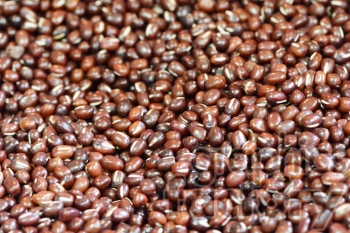 A close-up image of a large quantity of raw red beans.