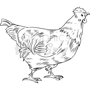 A black and white clipart image of a chicken.