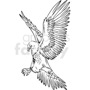 black and white eagle hunting vector clipart