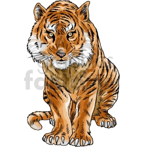 Tiger vector clipart